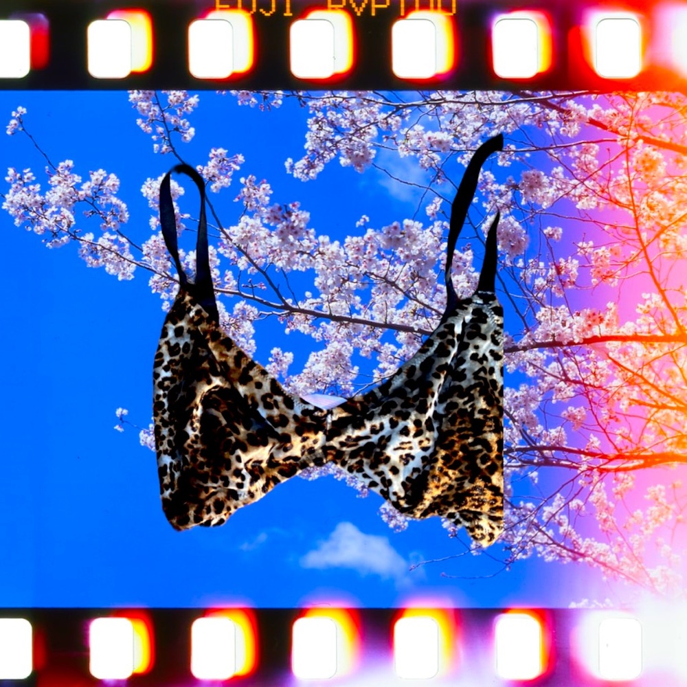Colsie Dainty Cheetah Print Unlined Bra 🍁